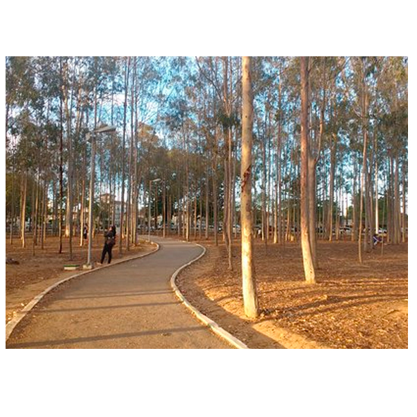Parque Euclides Dourado